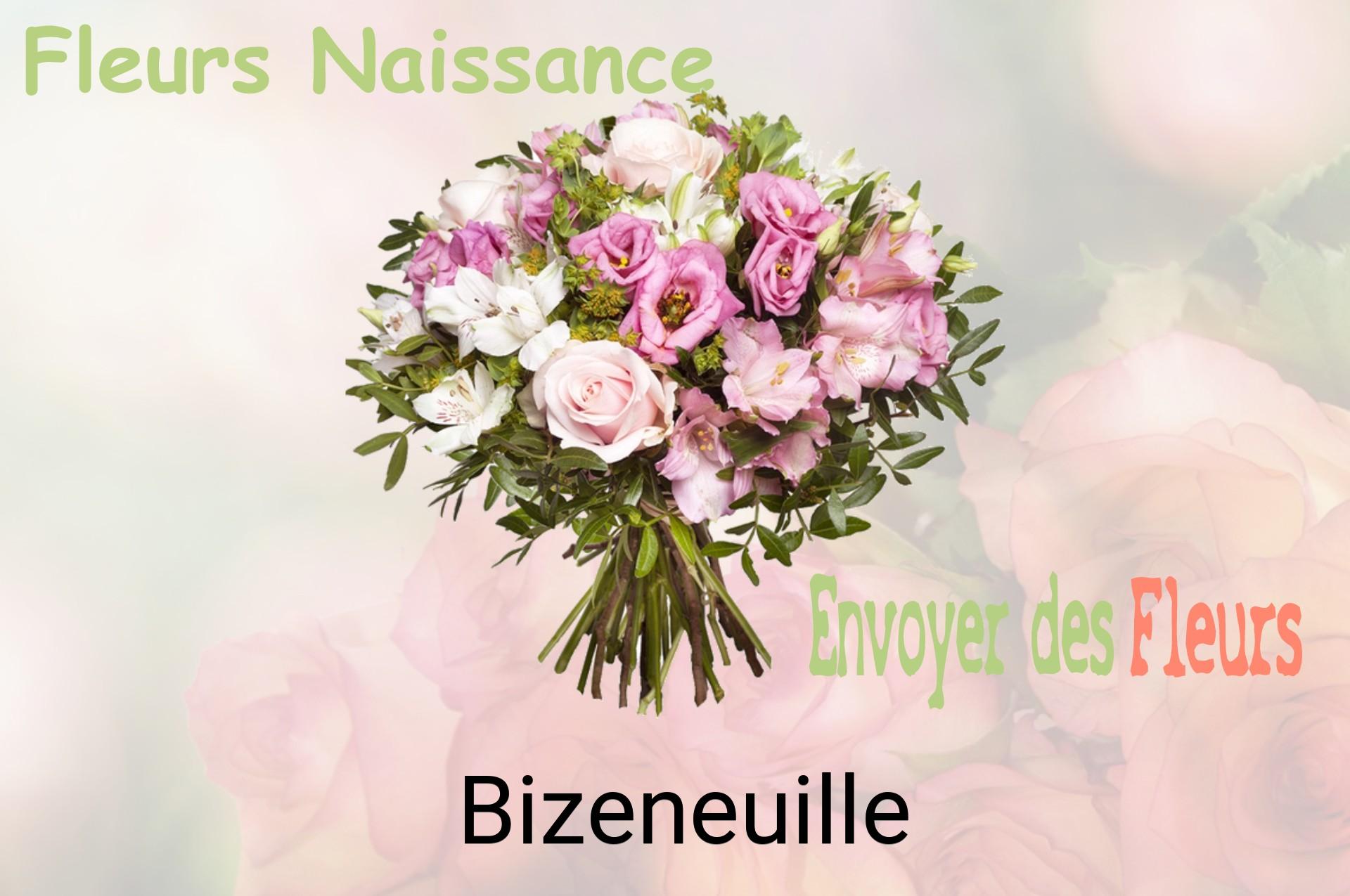 Bouquet de fleurs de naissance livré à Bizeneuille